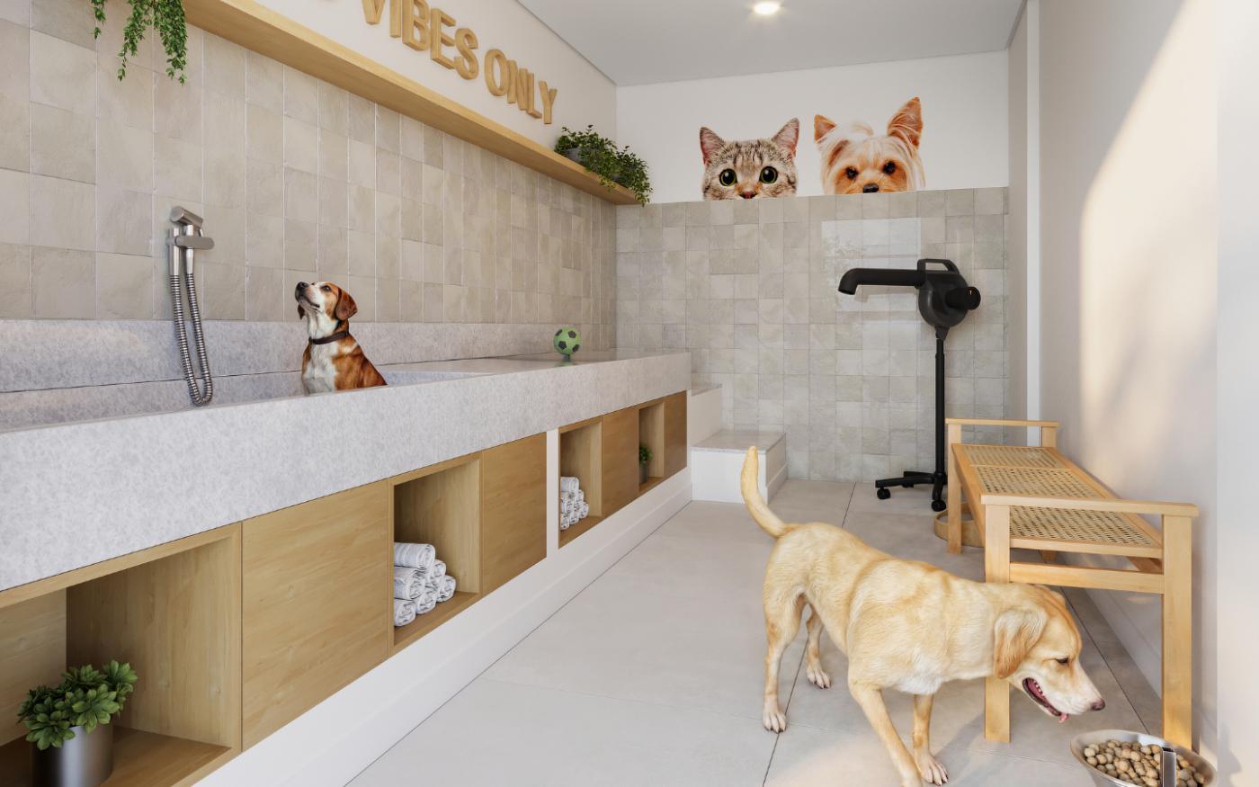 Casa, 2 quartos, 3444 m² - Foto 20